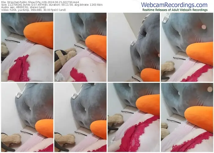 2024/06/15/stripchat-pa_ri09-02-27-30