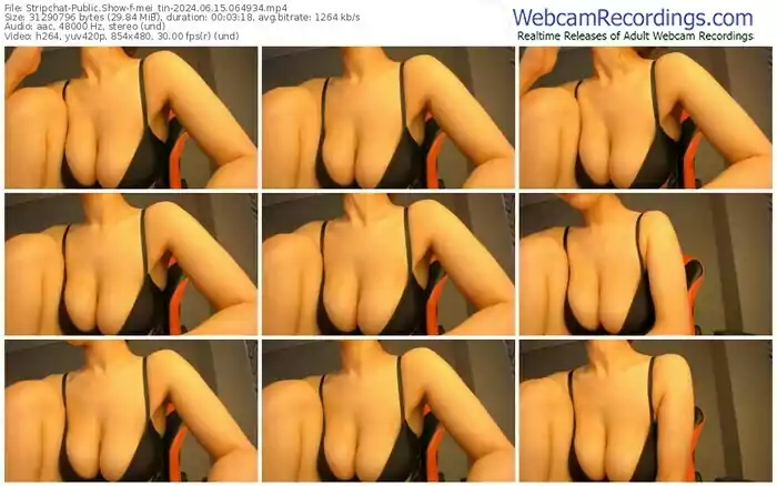 2024/06/15/stripchat-mei_tin-06-49-34