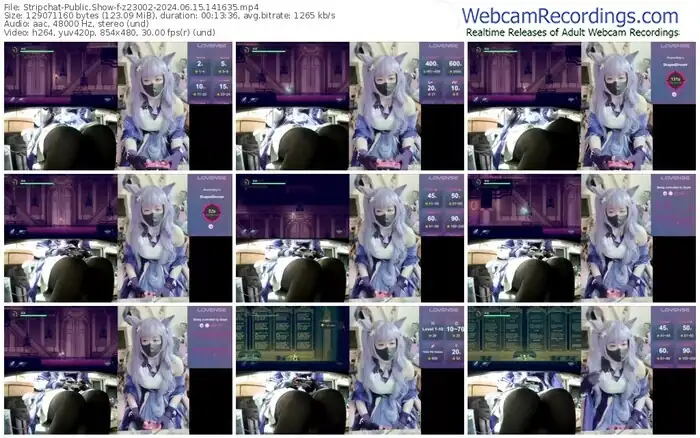 2024/06/15/stripchat-z23002-14-16-35