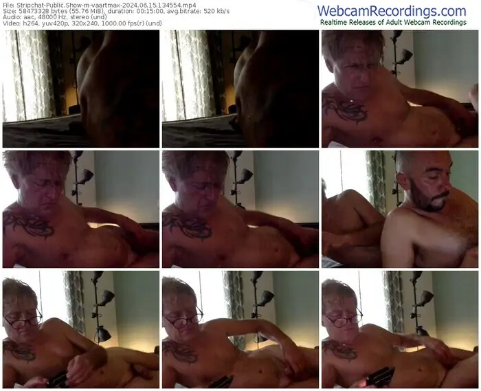 2024/06/15/stripchat-vaartmax-13-45-54