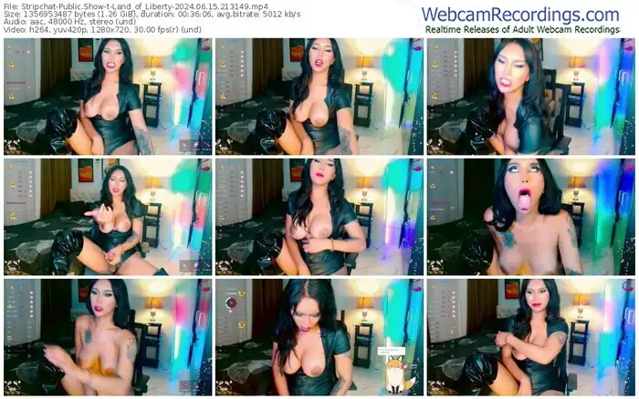 2024/06/15/stripchat-land_of_liberty-21-31-49