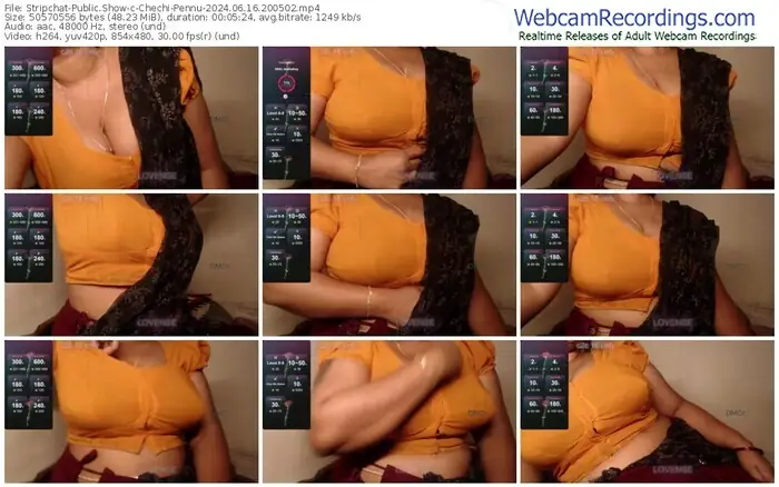 2024/06/16/stripchat-chechi-pennu-20-05-02