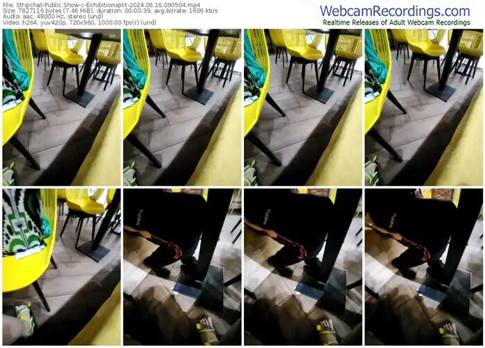 2024/06/16/stripchat-exhibitionsplit-09-05-04