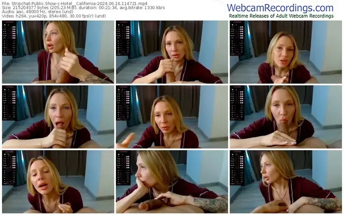 2024/06/16/stripchat-hotel__california-11-47-21