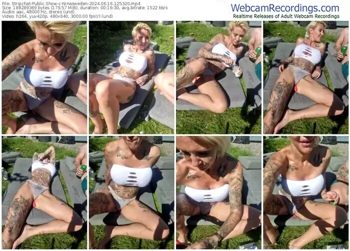 2024/06/16/stripchat-ninasweden-12-53-20
