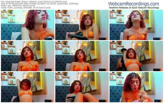 2024/06/16/stripchat-valentin_mae-02-58-42