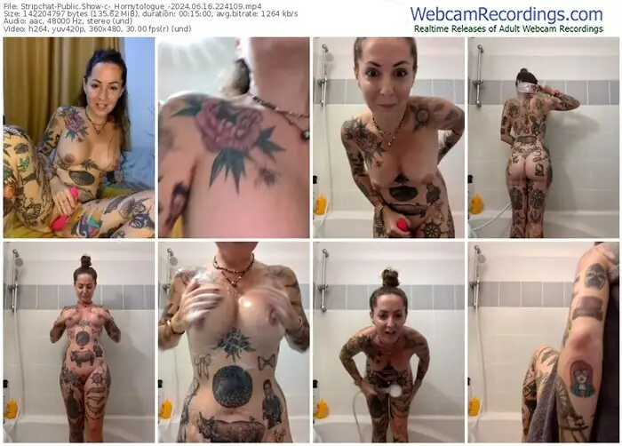 2024/06/16/stripchat-_hornytologue_-22-41-09