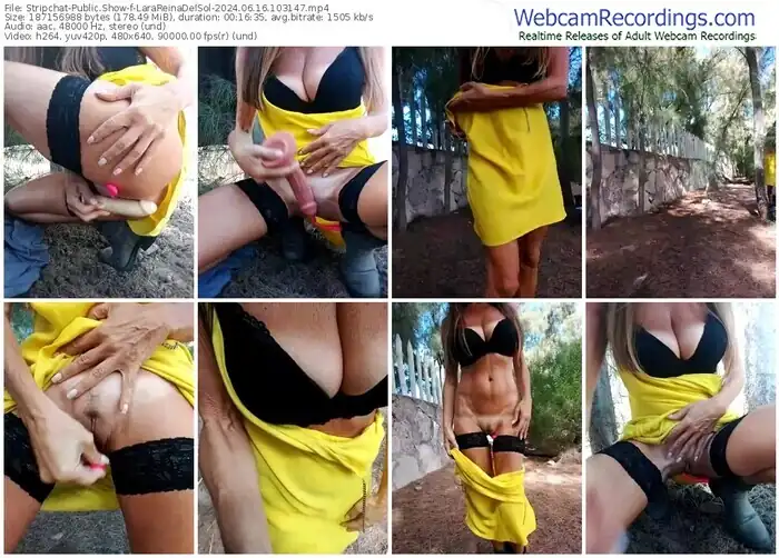2024/06/16/stripchat-larareinadelsol-10-31-47