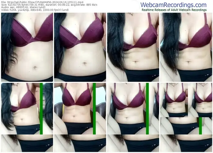 2024/06/16/stripchat-punam456-10-51-11