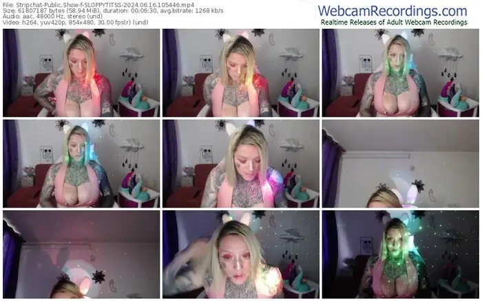2024/06/16/stripchat-sloppytitss-10-54-46