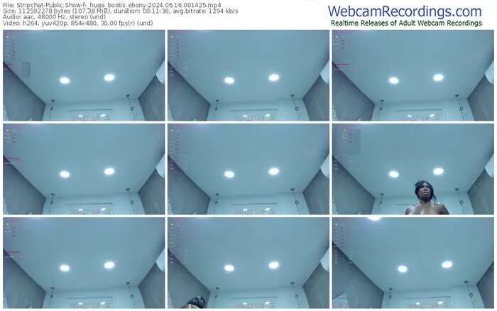 2024/06/16/stripchat-_huge_boobs_ebony-00-14-25