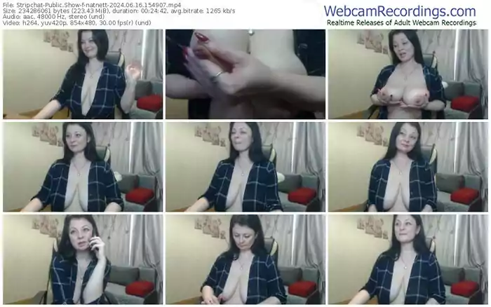 2024/06/16/stripchat-natnett-15-49-07