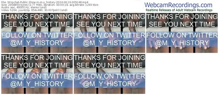 2024/06/16/stripchat-m-y_history-00-51-48