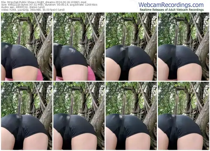 2024/06/18/stripchat-night_dreams-10-38-21