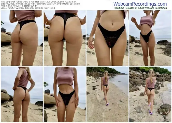 2024/06/18/stripchat-two_hot_cats_love-07-23-29