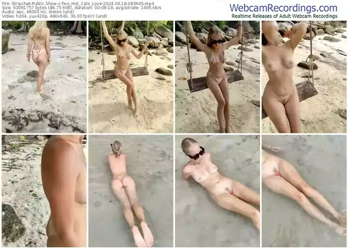 2024/06/18/stripchat-two_hot_cats_love-08-36-05