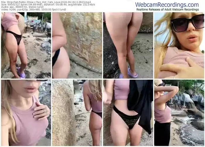 2024/06/18/stripchat-two_hot_cats_love-11-29-23