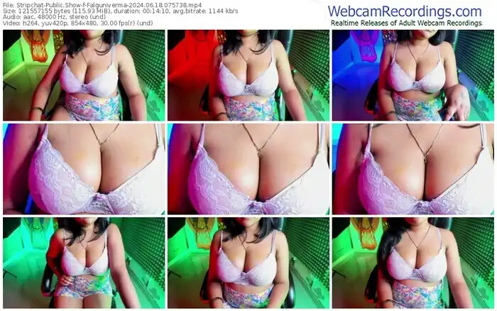 2024/06/18/stripchat-falguniverma-07-57-38