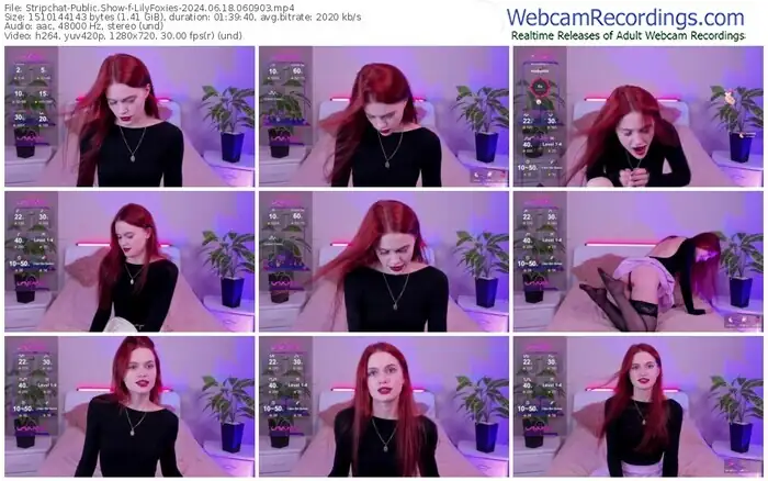 2024/06/18/stripchat-lilyfoxies-06-09-03