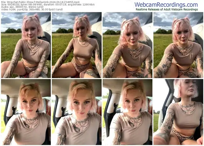 2024/06/18/stripchat-stella-kink-15-46-55