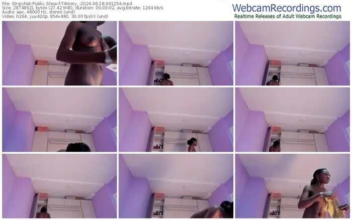 2024/06/18/stripchat-t4mmy_-09-12-54