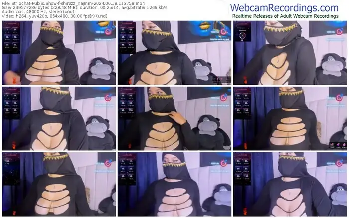 2024/06/18/stripchat-shirazz_najmm-11-37-58