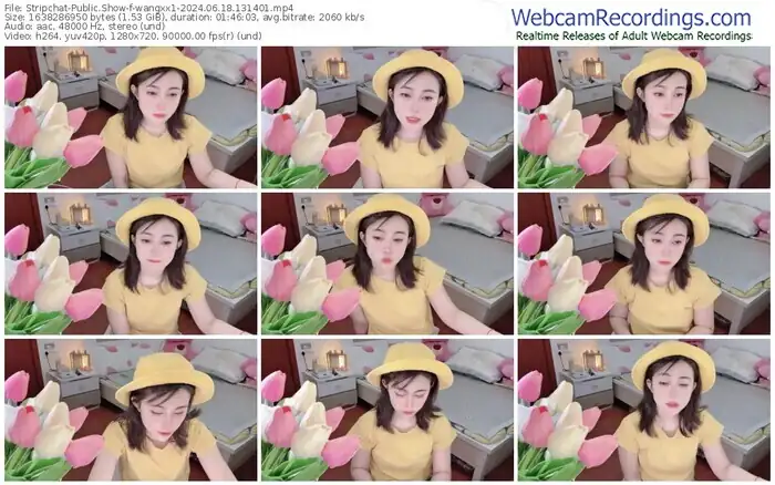 2024/06/18/stripchat-wangxx1-13-14-01