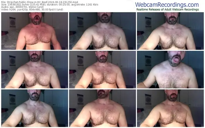 2024/06/18/stripchat-mr_beef-23-12-50