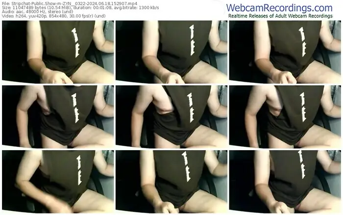 2024/06/18/stripchat-zyn__0322-15-29-07