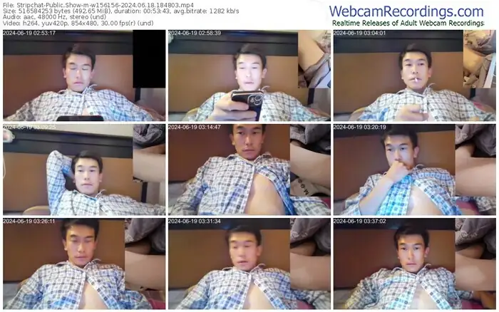 2024/06/18/stripchat-w156156-18-48-03