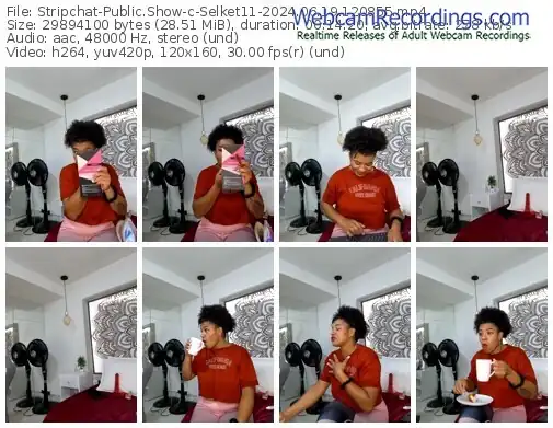 2024/06/19/stripchat-selket11-12-08-55