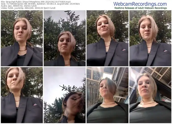 2024/06/19/stripchat-morphine_666-07-44-04