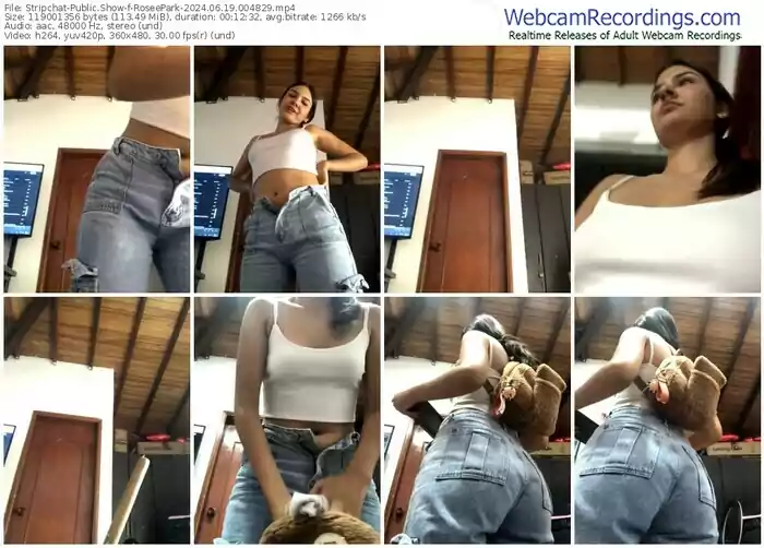 2024/06/19/stripchat-roseepark-00-48-29