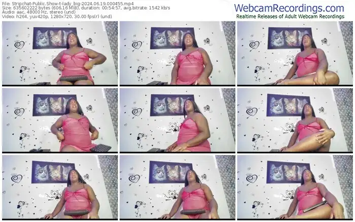 2024/06/19/stripchat-lady_big-00-04-55