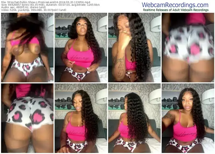 2024/06/20/stripchat-promiseland24-13-36-56