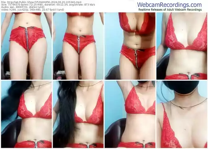 2024/06/20/stripchat-punam456-10-53-40
