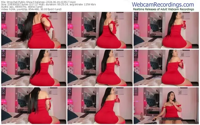 2024/06/20/stripchat-selenee--21-05-17