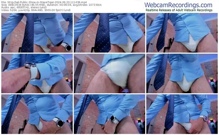 2024/06/20/stripchat-stevetiger-11-14-38