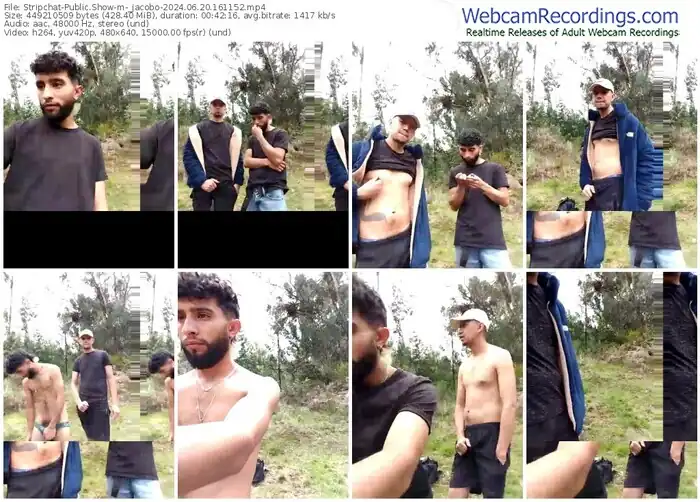 2024/06/20/stripchat-_jacobo-16-11-52