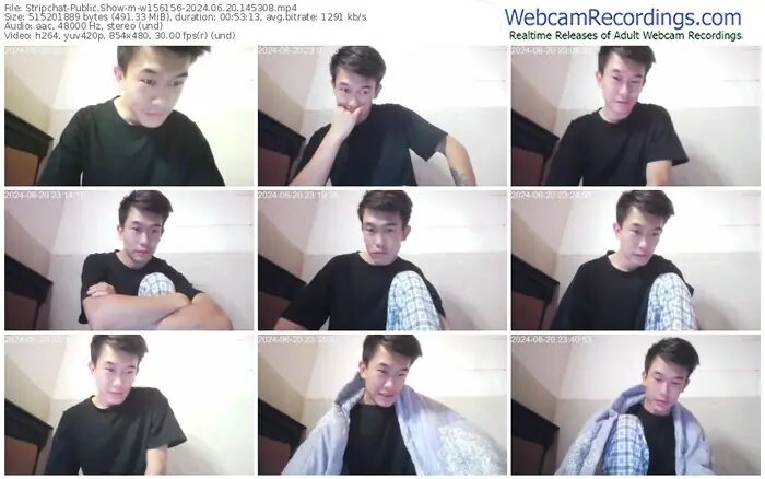 2024/06/20/stripchat-w156156-14-53-08