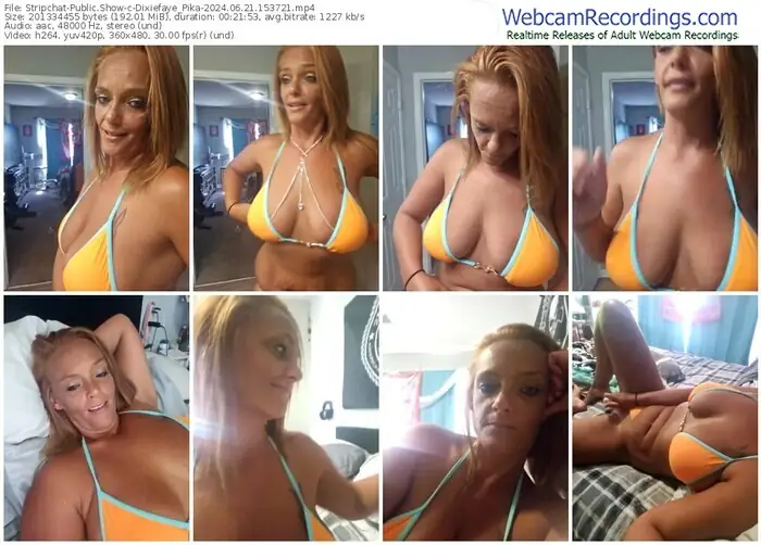 2024/06/21/stripchat-dixiefaye_pika-15-37-21
