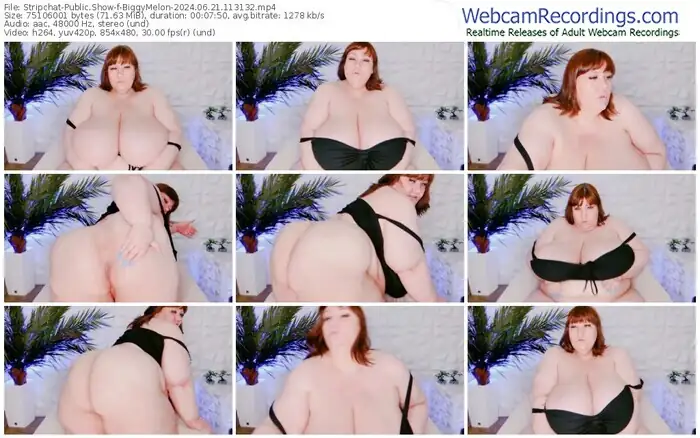 2024/06/21/stripchat-biggymelon-11-31-32