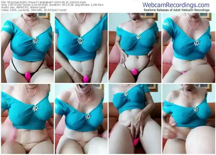 2024/06/21/stripchat-catababa67-16-24-22