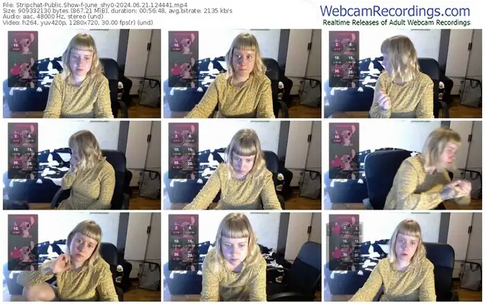 2024/06/21/stripchat-june_shy0-12-44-41