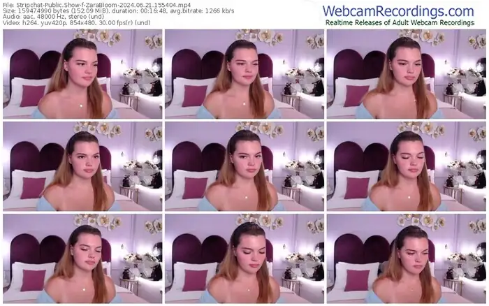 2024/06/21/stripchat-zarabloom-15-54-04