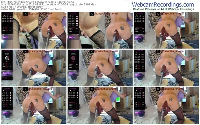 2024/06/21/stripchat-lasofia-10-03-57