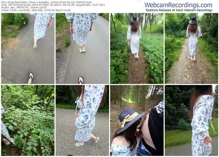 2024/06/22/stripchat-kaaathy_online-16-45-45