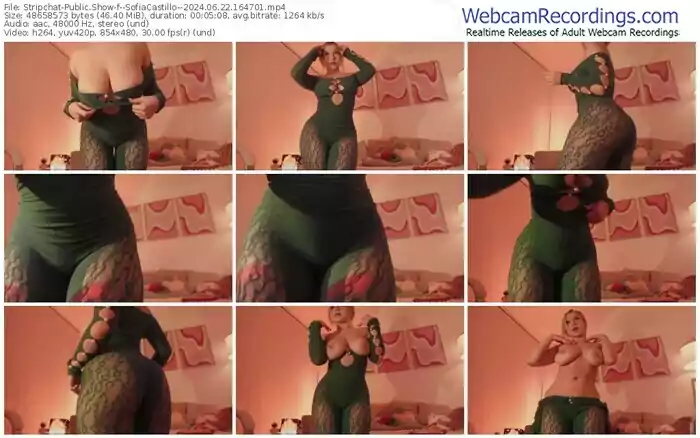 2024/06/22/stripchat--sofiacastillo--16-47-01