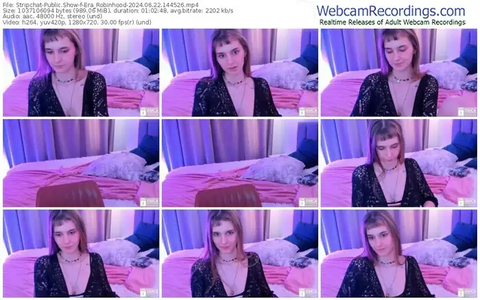 2024/06/22/stripchat-era_robinhood-14-45-26