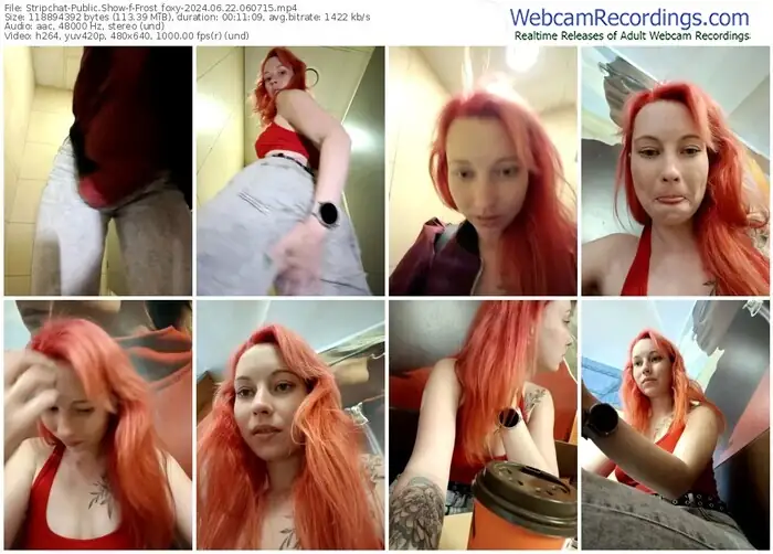 2024/06/22/stripchat-frost_foxy-06-07-15